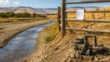 B.C. limits irrigation from Bessette Creek as drought puts chinook at risk