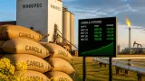 Canola futures rise as global oil shock lifts Prairie oilseed values