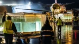 Fourth group of belugas departs Marineland as large transfer operation nears finish