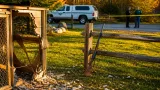 Granby man charged after shooting bear raises questions about limits of Connecticut law