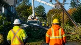 High winds knock out power to roughly 11,000 customers across New Brunswick