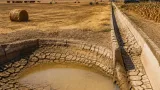 Historic drought forces B.C. farmers to sacrifice crops and plan costly feed replacements