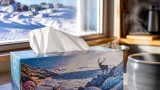 Iqaluit artist’s view of Frobisher Bay appears on national Royale tissue boxes