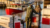 Nova Scotia seafood and processors face ‘double whammy’ as U.S. and Canadian tariffs collide