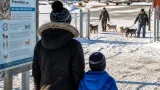Nunavut health officials warn residents after several dog attacks, urge caution and prompt medical care