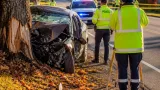One dead, one injured after single‑vehicle collision in Florenceville‑Bristol