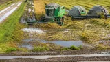 Rain slows Saskatchewan harvest; provincial progress lags five‑year average
