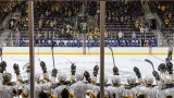 Sarnia Sting end 19-year Ottawa drought with 10-3 rout of 67's