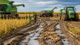 Saskatchewan harvest lags far behind norm at 41 per cent complete