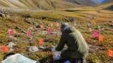 Silver North finishes soil and rock survey at Veronica, expands silver anomaly in Silvertip District