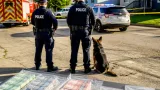 Three men arrested after Thompson raids yield cocaine, firearms and large cash seizure