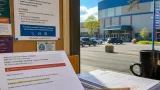 Thunder Bay businesses warned about fake North Stars sponsorship emails asking for $500