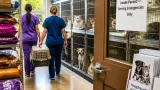 Winnipeg humane society pauses animal intake as shelters reach capacity