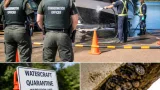 Zebra mussels found on boat at Blackstrap; owner charged and vessel quarantined