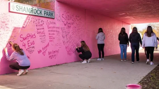 Hamilton’s pink tunnel in Corktown repainted after vulgar graffiti; fans return to write messages