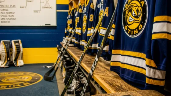 Sarnia Sting lean on outside playoff experience as club chases postseason return