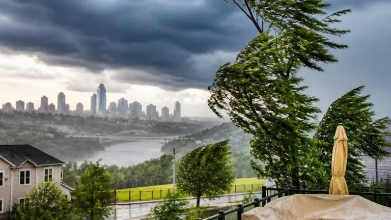 Alberta braces for damaging winds, heavy rain and a sharp temperature drop this week