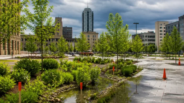 Hamilton to receive $210,000 federal boost for climate adaptation plan and sponge-plaza study