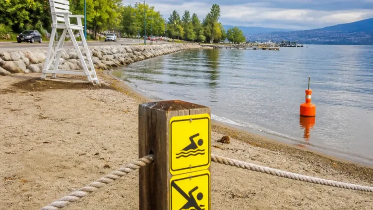 Kelowna issues swimming advisory for south end of Rotary Beach after high E. coli readings