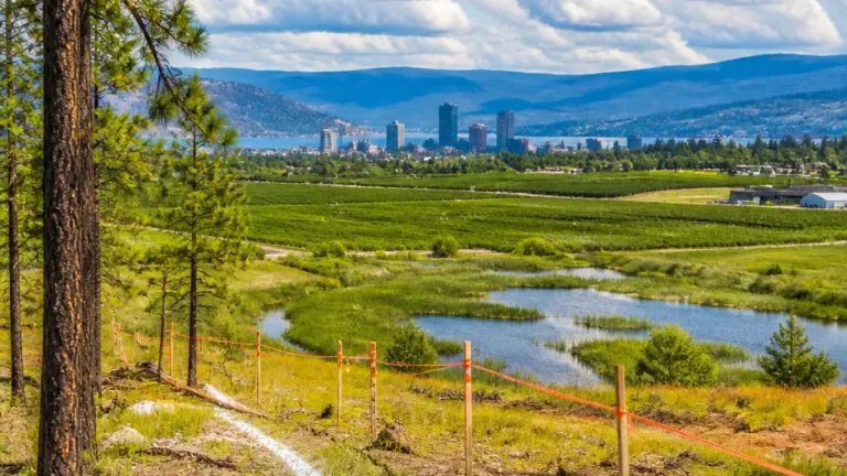 Kelowna planners oppose 47‑lot subdivision proposed beyond growth boundary
