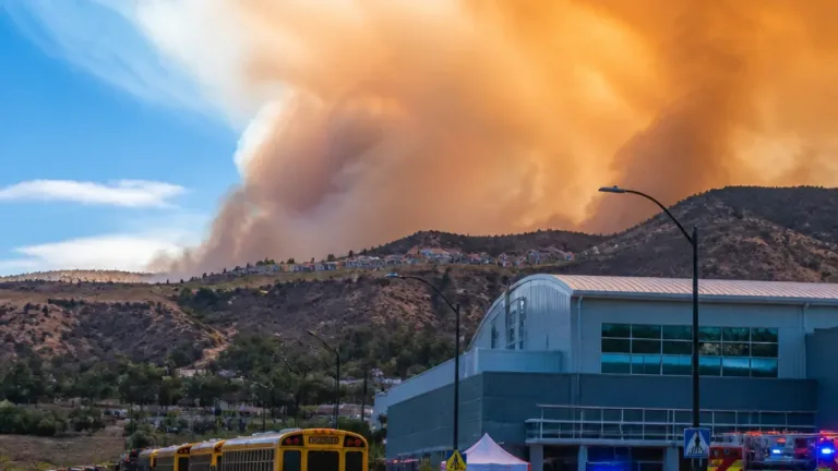 Province declares state of emergency as Bald Range fire grows past 103 sq. km and forces evacuations