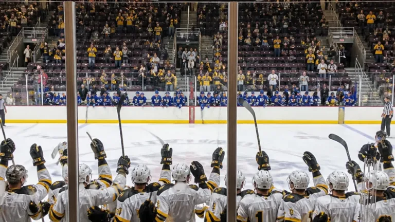 Sarnia Sting end 19-year Ottawa drought with 10-3 rout of 67's
