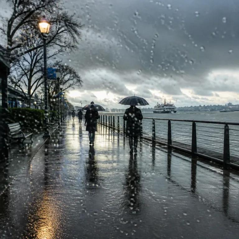 Alaska low to usher in cooler, wetter start to September for Metro Vancouver