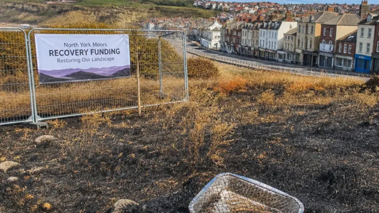 Whitby MP backs temporary ban on disposable barbecues and tighter planning powers