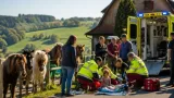 11-Jährige bei Reitunfall in Speicher verletzt – Rega bringt Kind ins Spital
