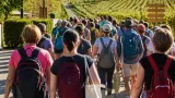 450 Teilnehmende bei erster Hike-&-Taste-Wanderung in Weinfelden – Veranstalter planen Fortsetzung
