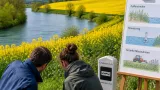 Aargauer Regierung setzt beim Gewässerschutz auf Massnahmenbündel statt Rapsverbot
