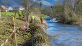 Bezirk Schwyz pflegt Ufergehölze am Nietenbach zur Stärkung des Hochwasserschutzes
