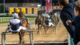 Enattof sichert in Aarau fünften Traber-Meistertitel – Turrettini baut Erfolgsbilanz aus