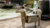 Genfer Nilkrokodil Elinor zieht nach Füssen – Platzbedarf und Forschungsauftrag prägen Transfer