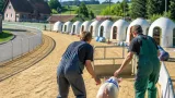 Gossau wird neue Heimat der OLMA-Rennsäuli: Training auf der Chueweid beginnt