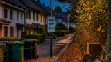 Kantone Aargau und Basel-Landschaft wollen Ausbreitung der Waschbären verlangsamen
