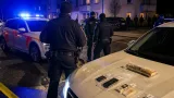 Kantonspolizei fasst mutmasslichen Autodiebstahls-Täter in Seewen