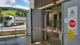 Lungenentzündung bei Schweinen: Zwei Solothurner Bestände müssen vollständig geräumt werden