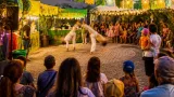 Museumsnacht St. Gallen feiert 20. Ausgabe unter dem Motto «Viva o Brasil!»