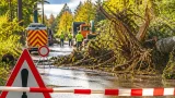 Nach Unwetter in Wettingen: Gemeinderat warnt Bevölkerung vor Waldbesuch