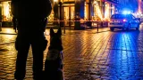 Polizeihund stellt Einbrecher im Restaurant an der St. Alban‑Vorstadt – Mann war des Landes verwiesen