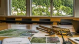 Teufen: Gemeinderat genehmigt Konzept gegen invasive Neophyten