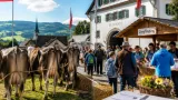 Teufen pflegt Brauchtum: Kleine, aber lebhafte Viehschau wird Treffpunkt der Gemeinde