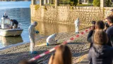 Tote Frau im Luganersee: Verbindung zu Rücktritt des Regierungsrats sorgt im Tessin für Fragen