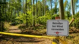 Trockenheit im Kanton Solothurn: erhöhter Risiko von spontanen Astabbrüchen im Wald