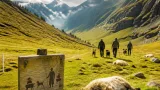 Urner Wolfsabschüsse in Kritik: Regierung verteidigt Kurs trotz erneutem Schafsriss