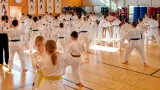 Wettingen beteiligt sich zahlreich an grossen Kampfkunst-Prüfungen in Zürich