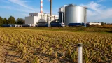 Zuckerfabrik Frauenfeld bereitet Neustart vor – Sorge wegen schwacher Rüben-Ernte