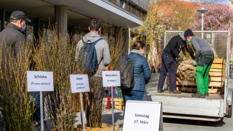 Biel: Stadt organisiert erneut Gratis-Tausch invasiver Sträucher gegen einheimische Arten