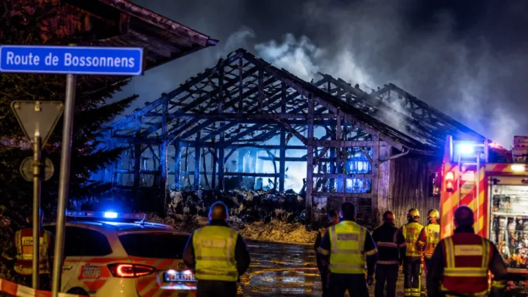 Brand in Palézieux: Rund 250 Rinder sterben — Stall komplett zerstört